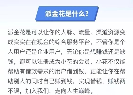 派金花行業(yè)老平臺，結(jié)算快穩(wěn)定！