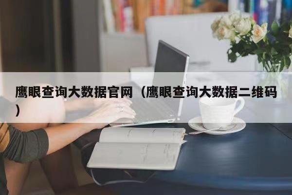 鷹眼查詢(xún)?nèi)绾尾樵?xún)大數(shù)據(jù)？使用說(shuō)明書(shū)
